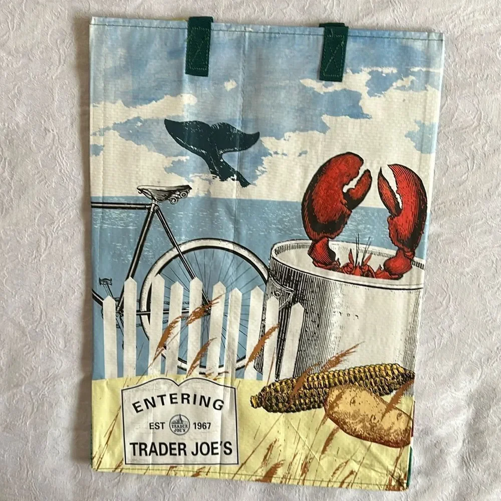 Trader Joe’s Plastic Reusable Shopping Tote Bag 6 Gallon Massachusetts